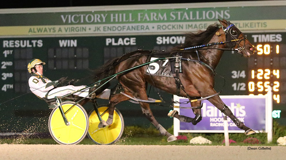 A Conversation With Bowie