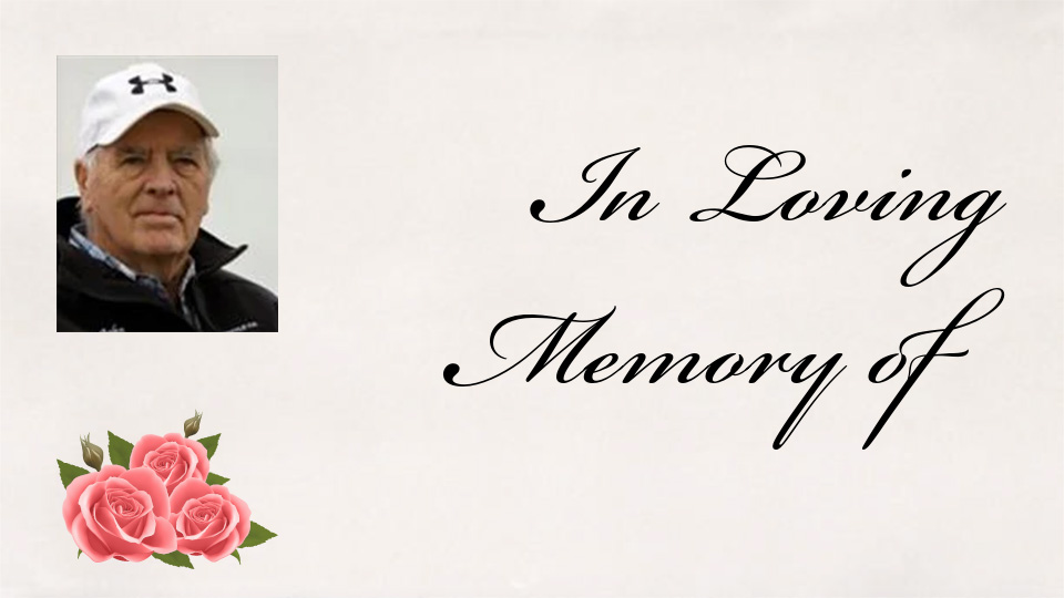 John William Megens Passes