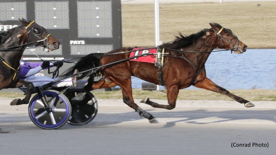Jeffery P Prevails In Miami Valley Open Trot