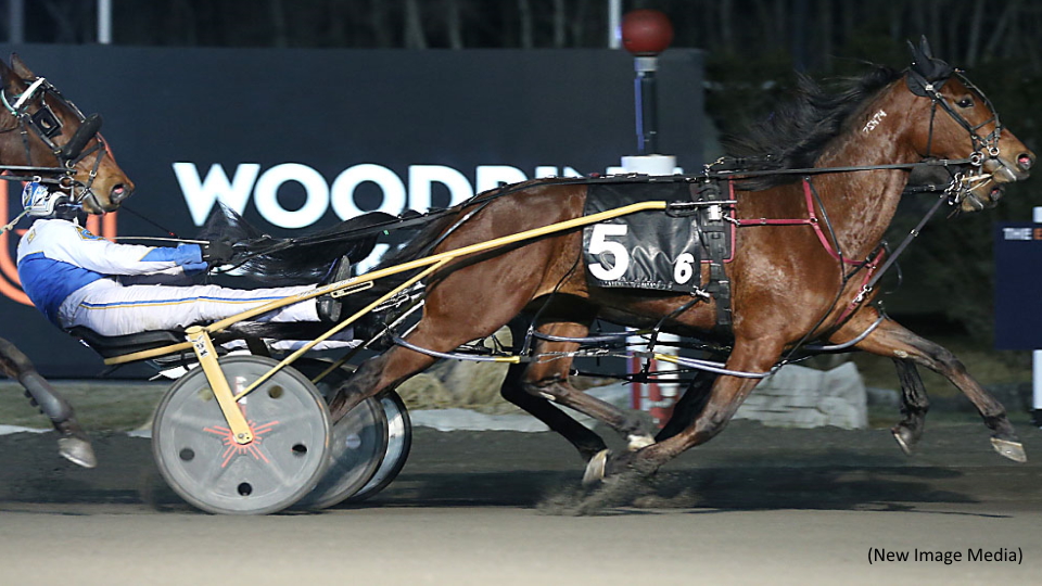 Just Daisy Delivers In Ontario Girls Series