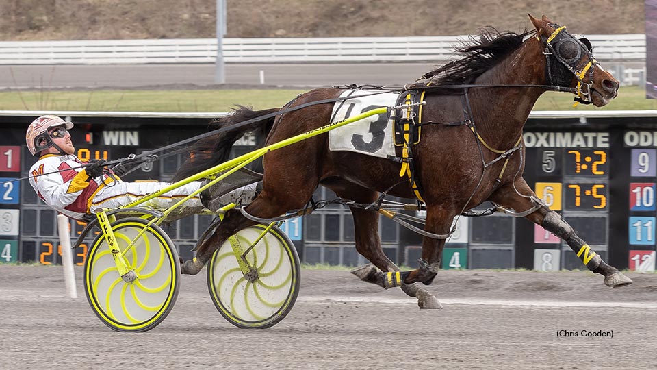 Lady Newton Upsets Meadows Mares