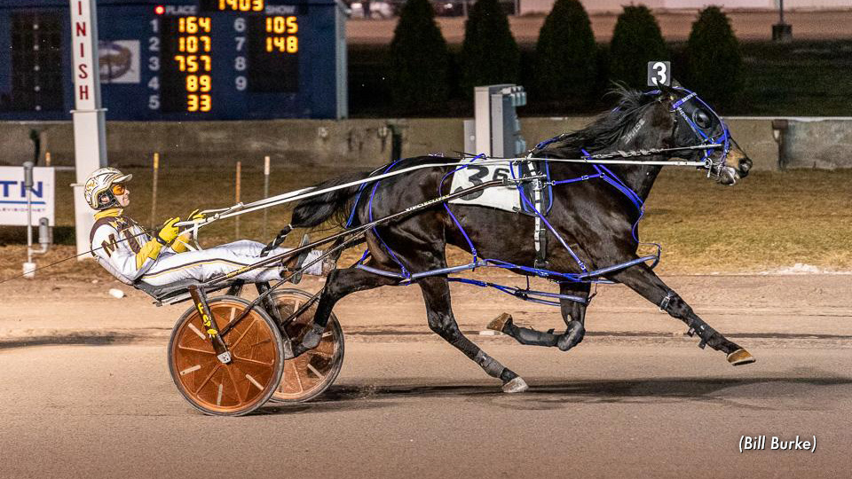 Larjon Legacy Still Perfect At Buffalo Larjon Legacy Still Perfect At Buffalo