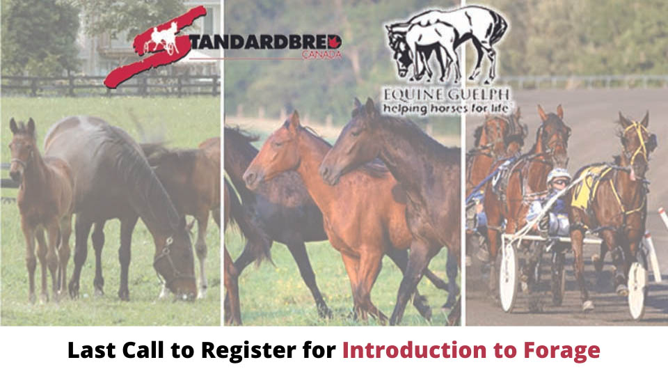 Last Call To Register For Intro To Forage Last Call To Register For Intro To Forage