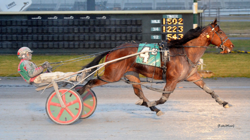 Let It Ride N Scores At Dover