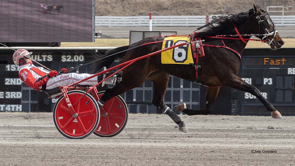 Lifeintheslammer Streaks Into Wohlmuth Series