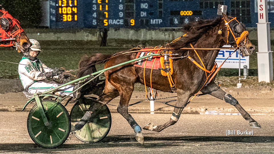 Lougazi Lands At Buffalo