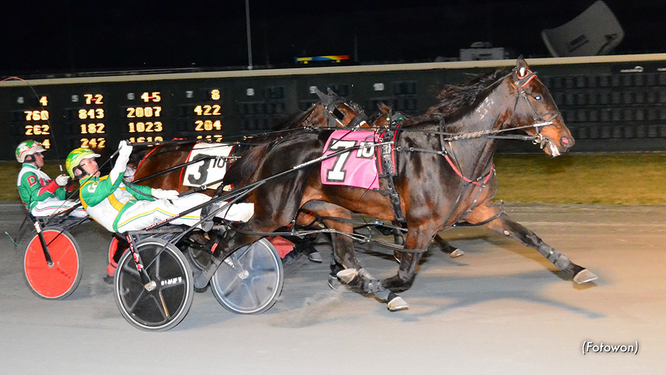 Majorca N Sweeps To Debut Victory