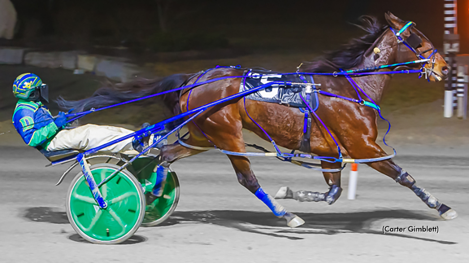 Outlawgrabbingears Rolls In London