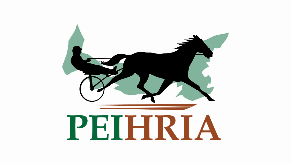 Virtual Mating Service Launched For Maritime Stallions