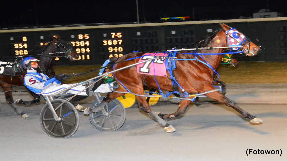 Penzance Hanover Repeats In Open At Dover