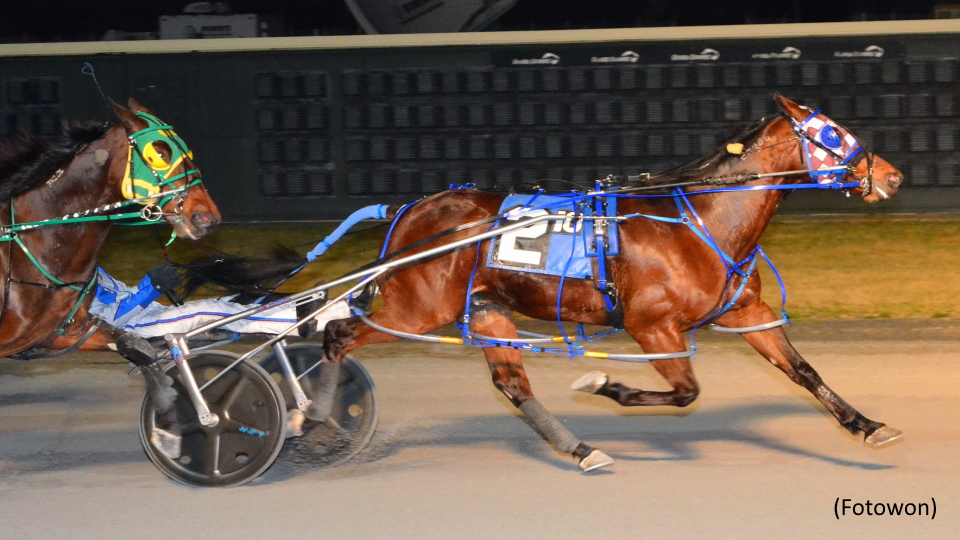 No Stopping Penzance Hanover At Dover Downs