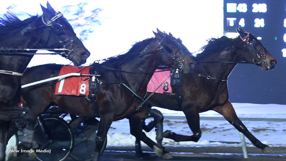 Perfetto Fends Off Late Pressure In Preferred