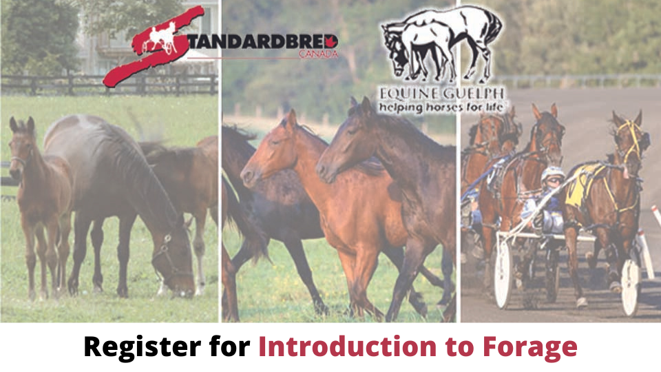 Register For Introduction To Forage Course