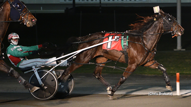 'Saranac' Sweeps Gents Pacing Series