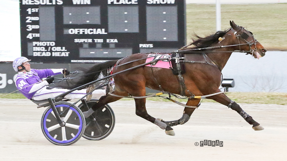 Open Grand Slam For Sectionline Bigry