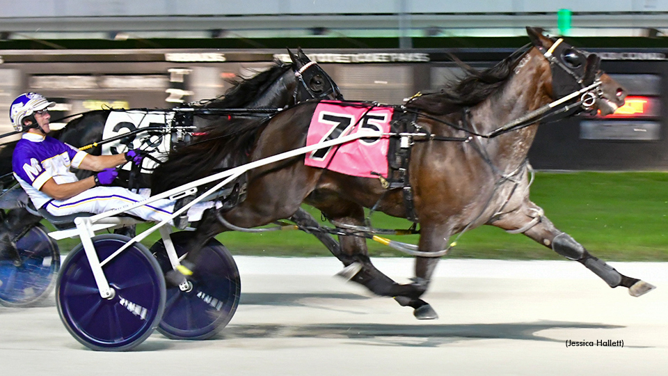 Seeing Eye Single Steals The Glory At Pompano