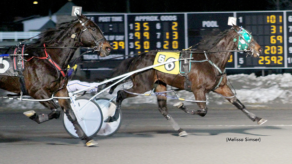 Skyway Victor Victorious At Saratoga
