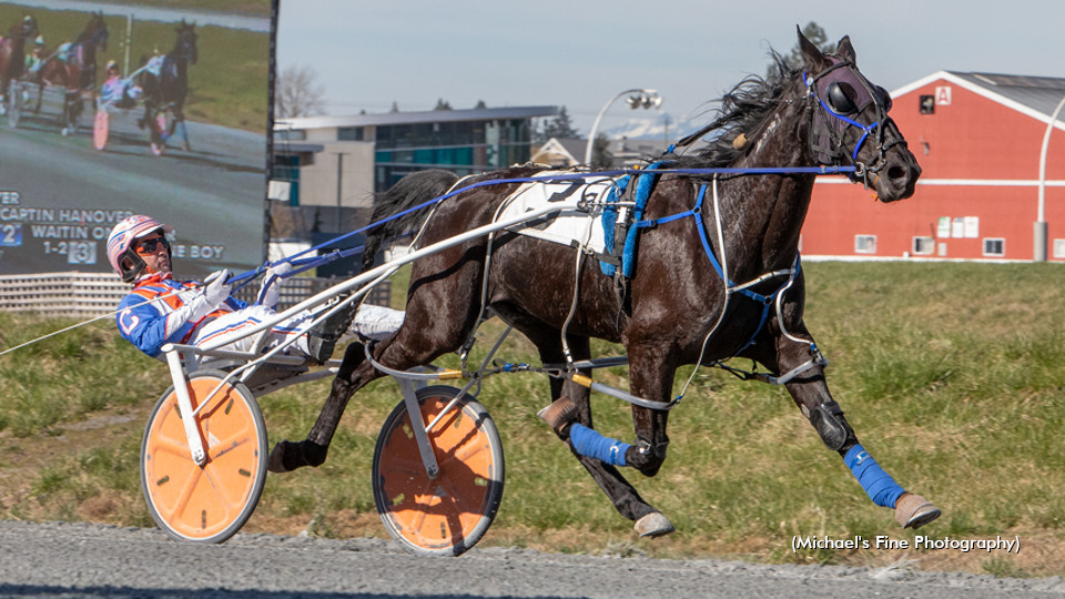 Sunshine Boy Trounces Fraser Foes