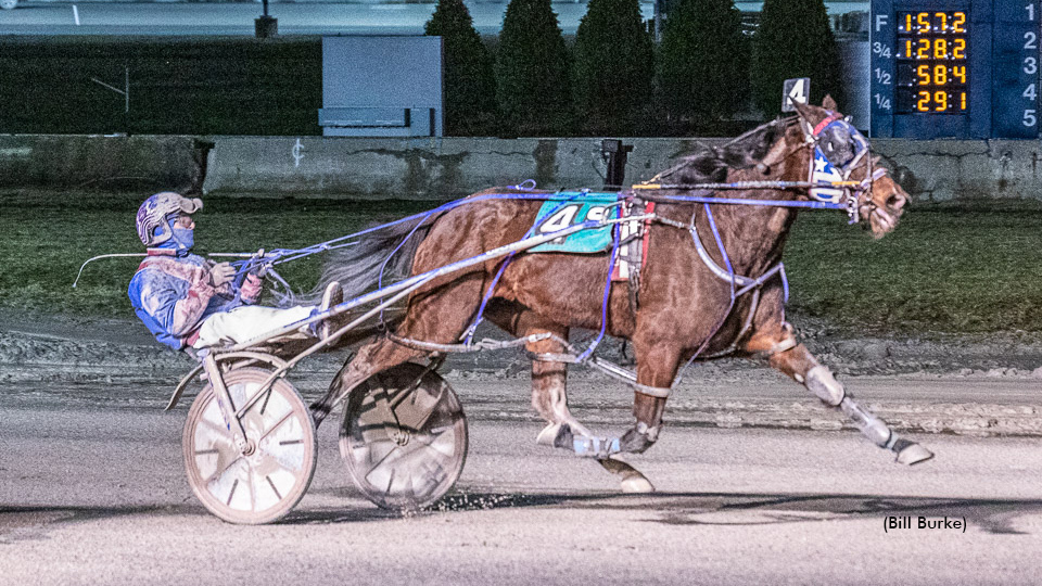 Sweet Young Thing Upsets In Buffalo Preferred