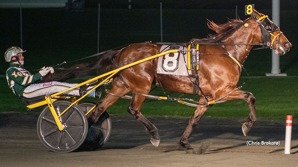 Borgata Opening Prelim Drawn