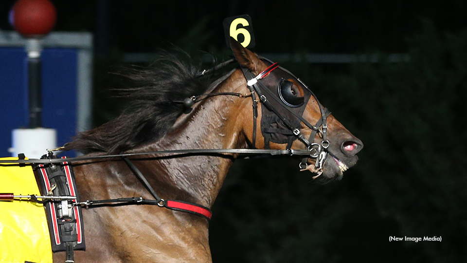 Support For Ukraine At The Racetrack