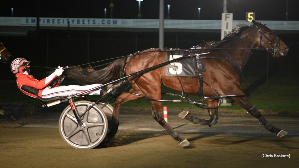 Fun Continues With Western Joe Fun Continues With Western Joe