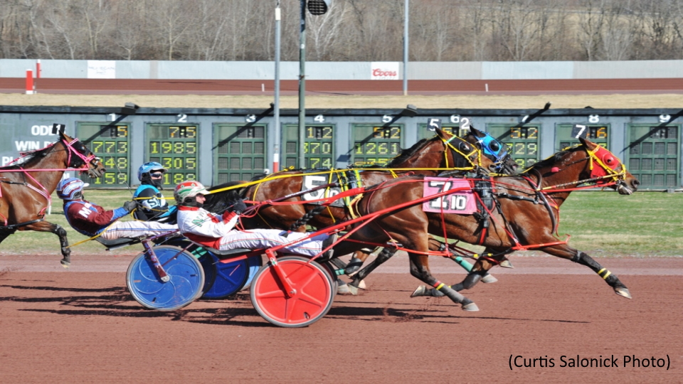 Whata Treasure Triumphs In Game Of Claims