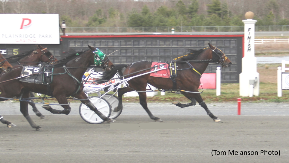 Artful Way Nabs 70th Win At Plainridge