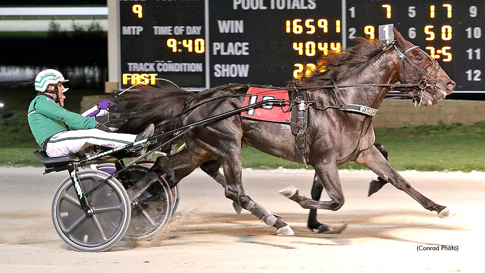 Back Of The Neck Drops Out Of Elitloppet