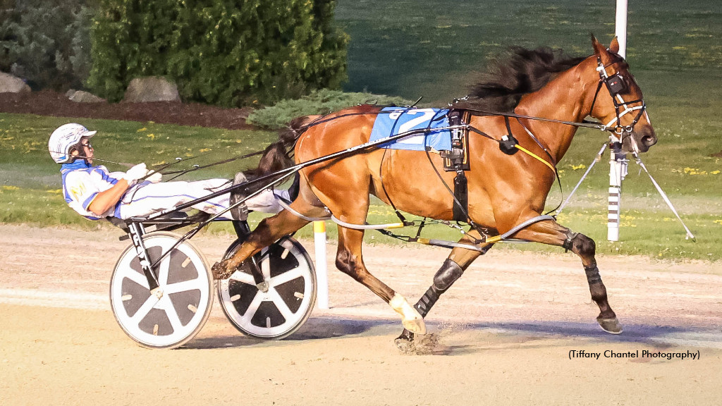 Trot N.A. Cup Spring Book: #8