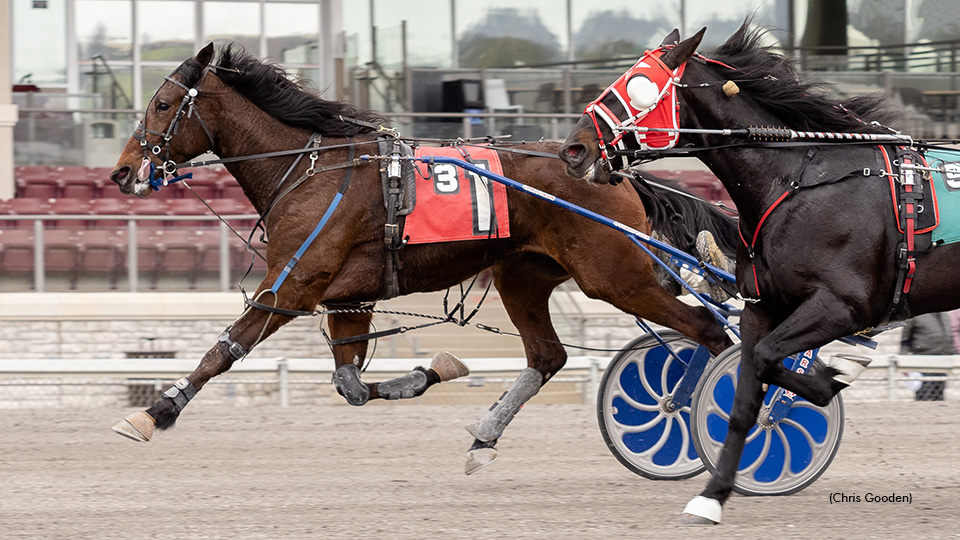 Betterinpinehurst Rebounds In Stretch For Series Win