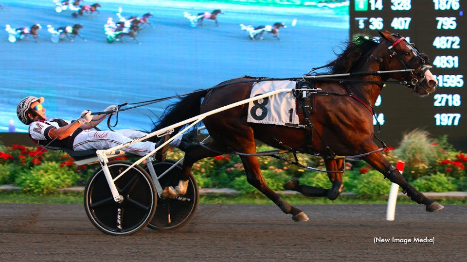 Century Heineken Gets The Last Call