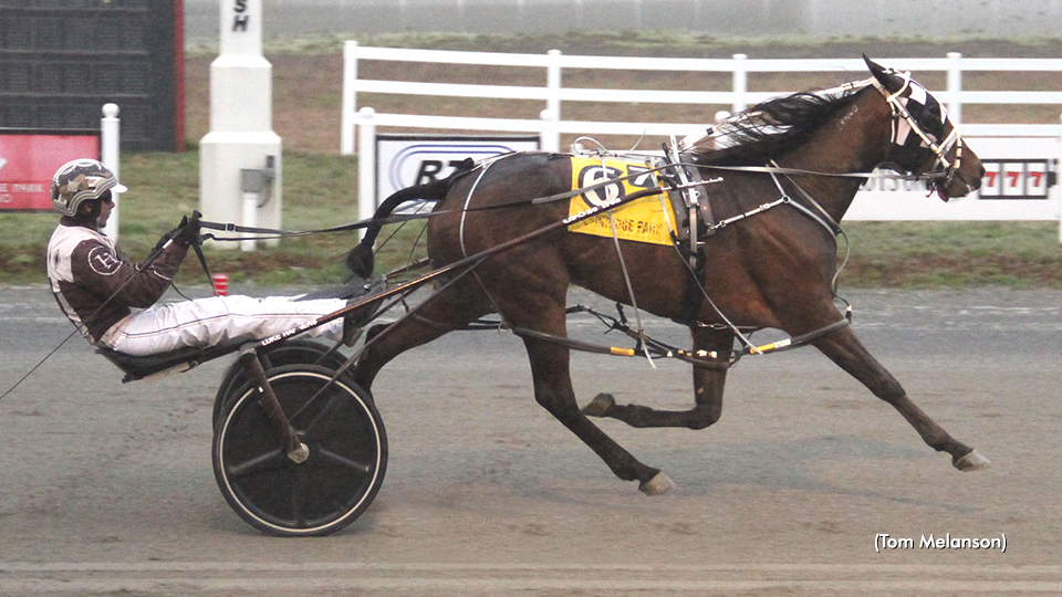 Chasethecloudsaway In Charge At Plainridge