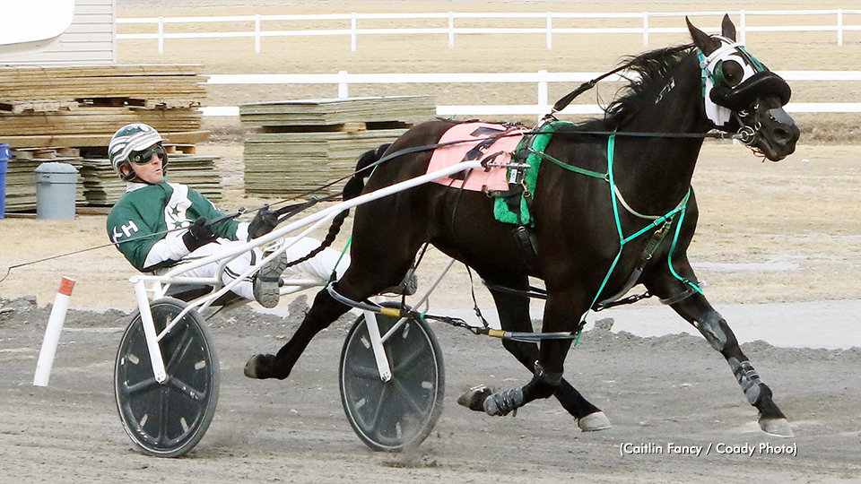 Five Straight For Codename Cigar Box