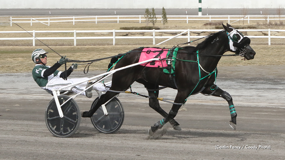 Hoerdt Hat Trick; Six For ‘Cigar Box’