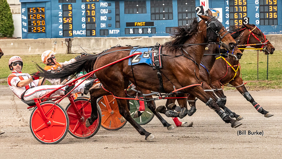 Dontustopbelievn N Wins At Buffalo