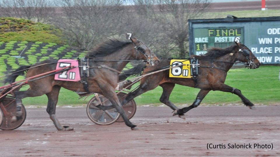 Weiss Mania At Pocono Downs