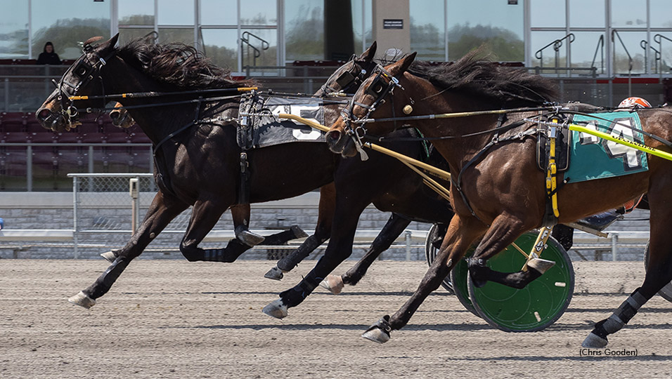 Fit Fanatic Holds On To Win Series Final