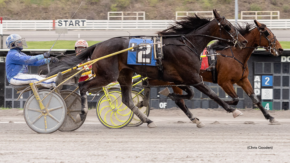 Merriman Sweeps Meadows Series Splits