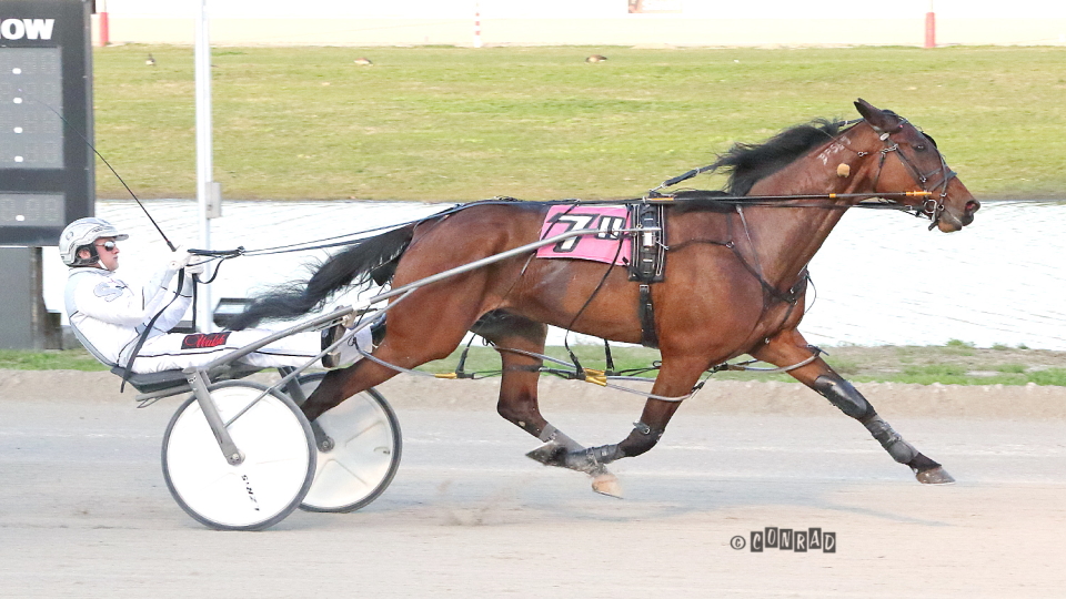 Gold Digger King Cruises In Miami Valley Open