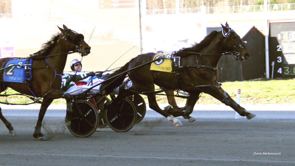 Groovy Man Strikes In Paul Revere Pace