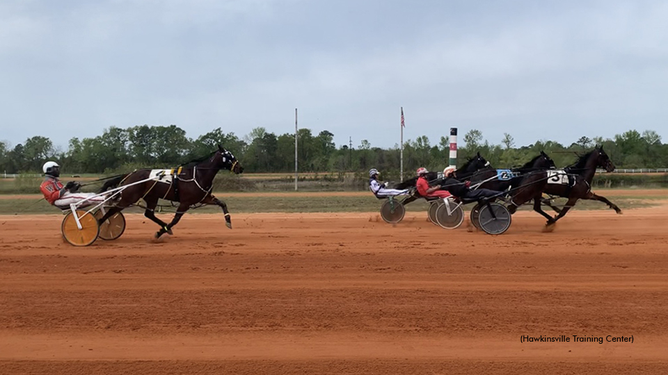 Hawkinsville Hosts Day At The Races