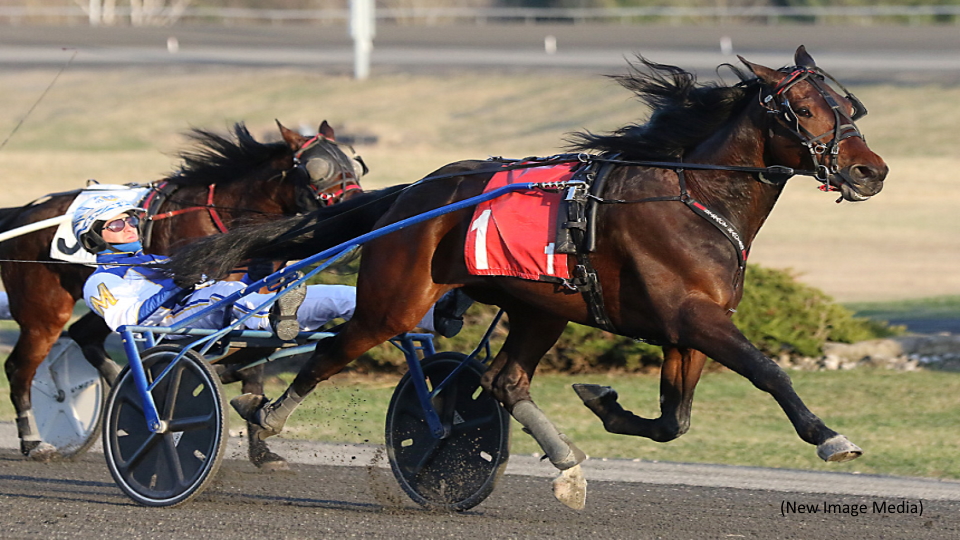 More MacDonald Mastery At Mohawk