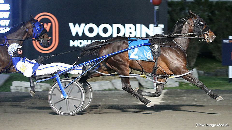 Nine In A Row For ‘Linedrive’