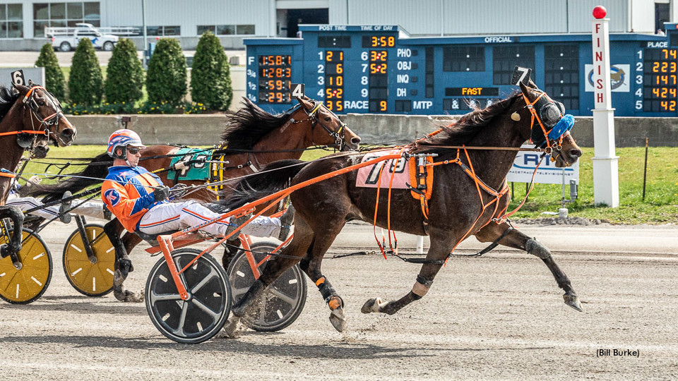 Lougazi, Kash Star At Buffalo 