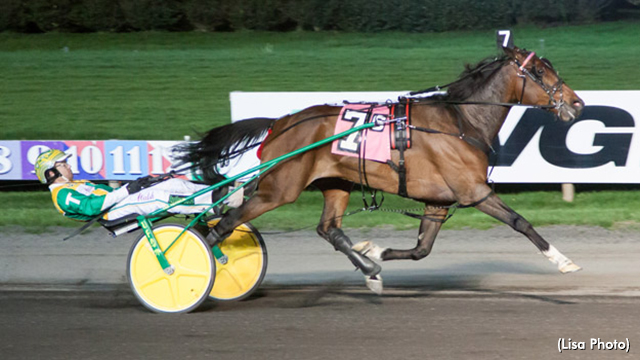 Season's Marks Set On $3-Million Night At 'Big M'