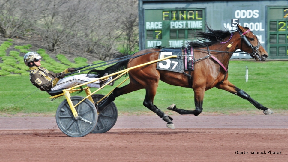 Buter, McCarthy Dominate In Weiss Series