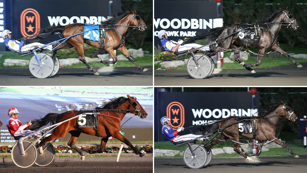 Stars Shine In Mohawk Qualifiers