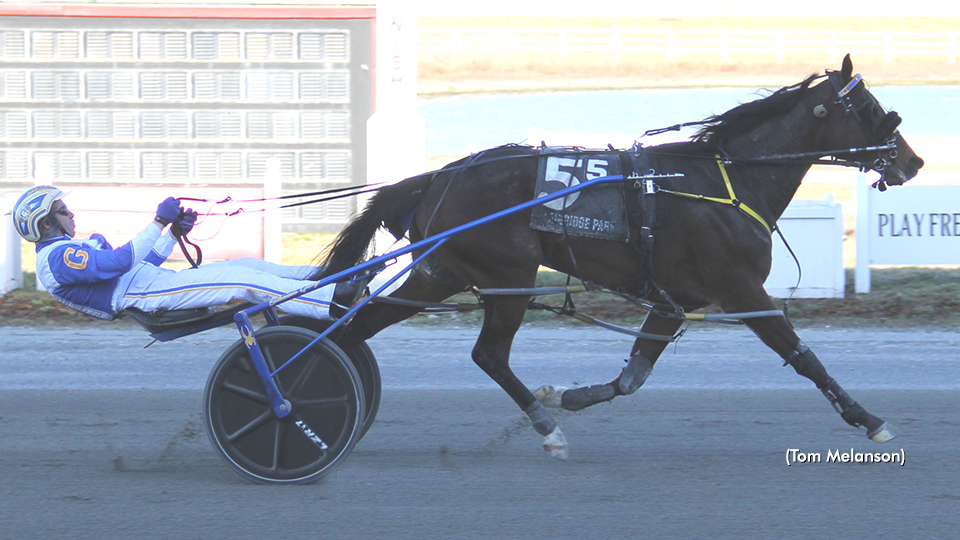 Mr Dunnigans Dashes At Plainridge