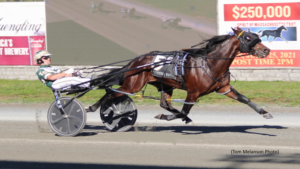 Mullinax Is Fastest Massachusetts-Bred Pacer